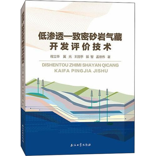 低滲透-致密砂巖氣藏開發(fā)評價技術(shù) 程立華 等 著 地球物理學(xué)專業(yè)科技